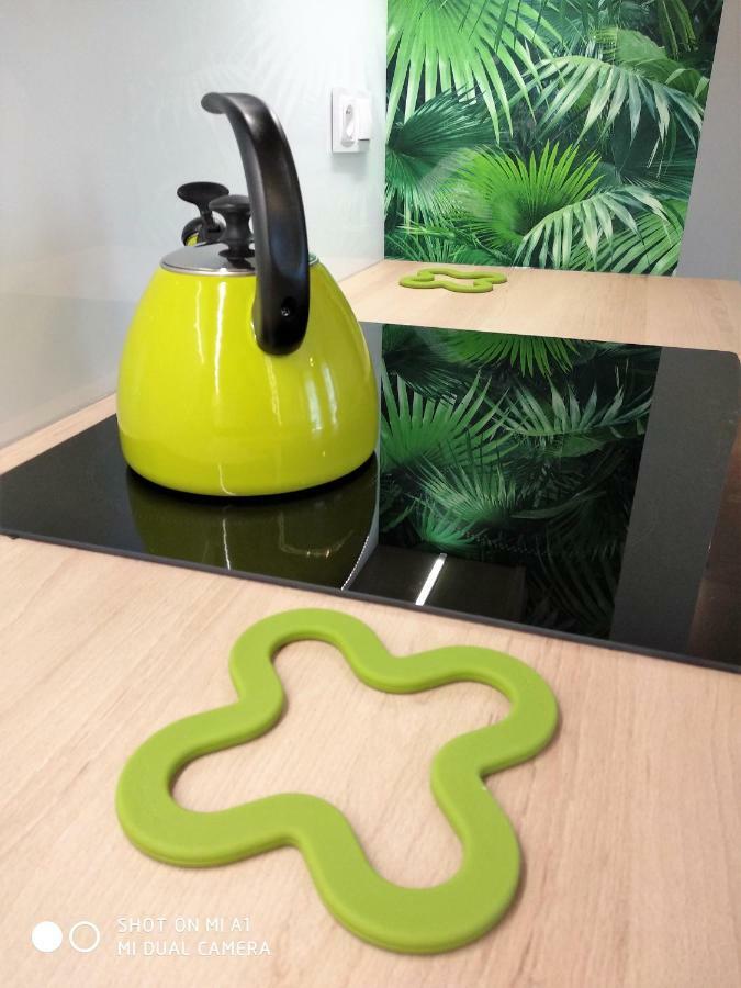 Grand Apartament ルブリン エクステリア 写真
