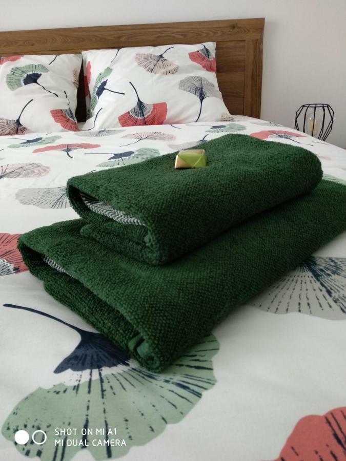 Grand Apartament ルブリン エクステリア 写真